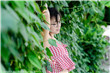 天蝎女